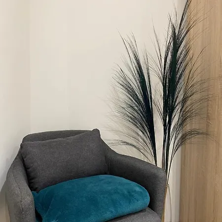 Magnifique T2 Pour Vos à Ajaccio Appartement *